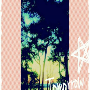 Pohon pantai iPhone8 Wallpaper