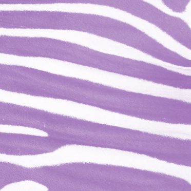pola zebra Ungu iPhone8 Wallpaper