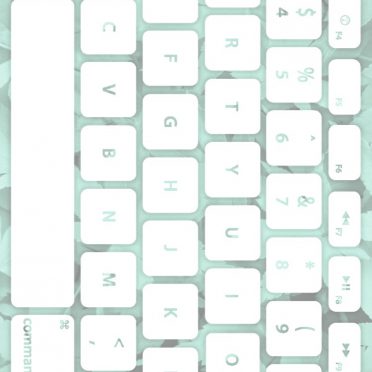 Keyboard daun Biru-hijau putih iPhone8 Wallpaper