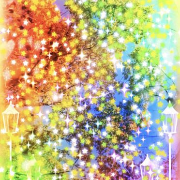 Bintang pohon jalanan iPhone8 Wallpaper