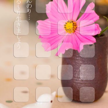 Burung rak bunga untuk wanita iPhone8 Wallpaper