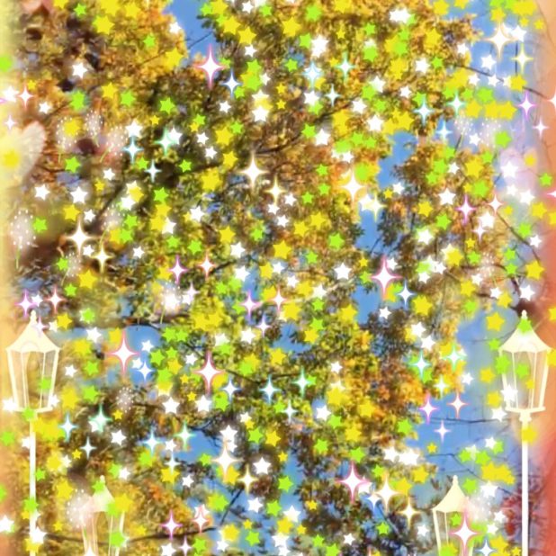 Bintang pohon jalanan iPhone8Plus Wallpaper