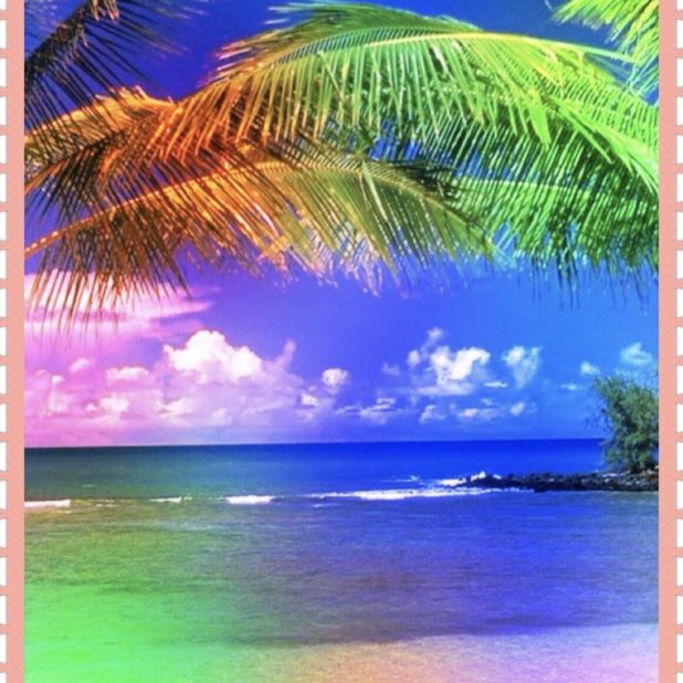 Berwarna tropis iPhone8Plus Wallpaper