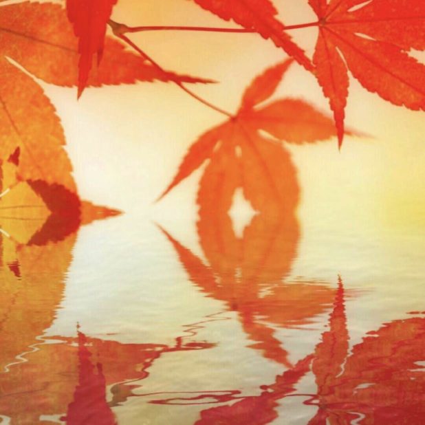 Musim gugur meninggalkan gaya Jepang iPhone8Plus Wallpaper