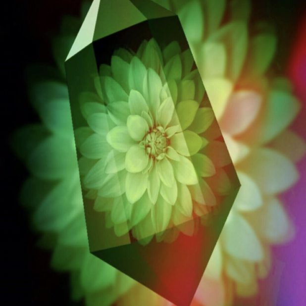 Kristal bunga iPhone8Plus Wallpaper