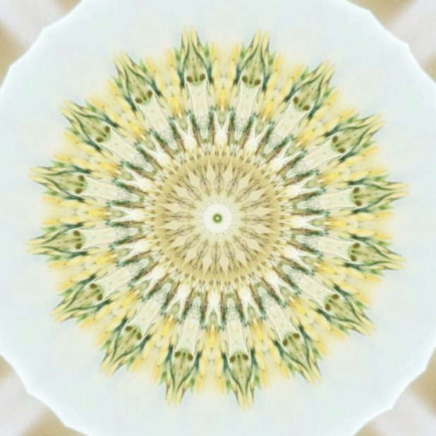 Lingkaran radial iPhone8Plus Wallpaper