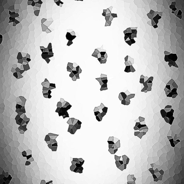 Kubus hitam dan putih iPhone8Plus Wallpaper