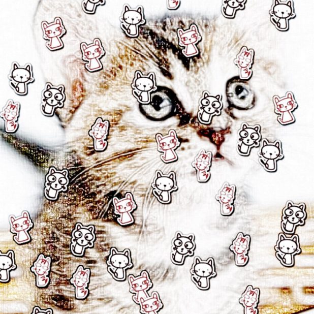 kucing iPhone8Plus Wallpaper