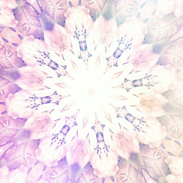 Bunga imut iPhone8Plus Wallpaper