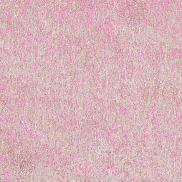 Landscape taman bunga Merah iPhone8Plus Wallpaper