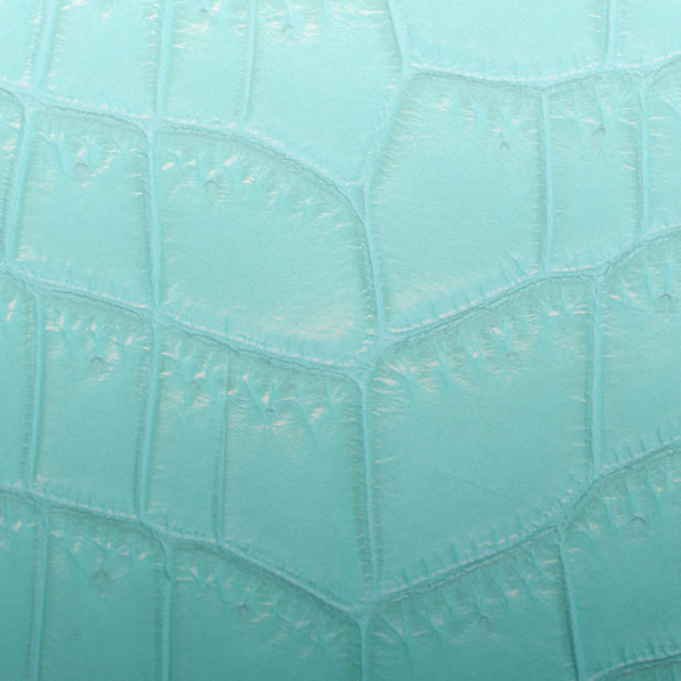 Daun vena gradasi biru muda iPhone8Plus Wallpaper