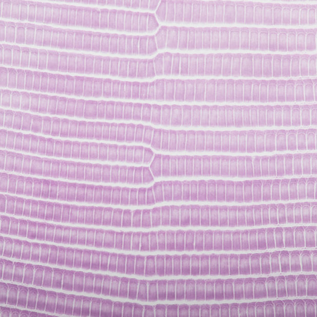 Daun vena gradasi Berwarna merah muda iPhone8Plus Wallpaper