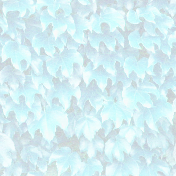 pola daun Biru hijau iPhone8Plus Wallpaper