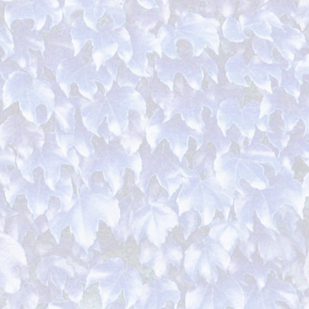 pola daun Biru iPhone8Plus Wallpaper