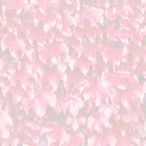 pola daun Merah iPhone8Plus Wallpaper