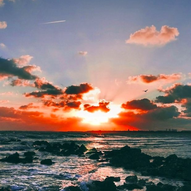 pemandangan langit laut senja iPhone8Plus Wallpaper