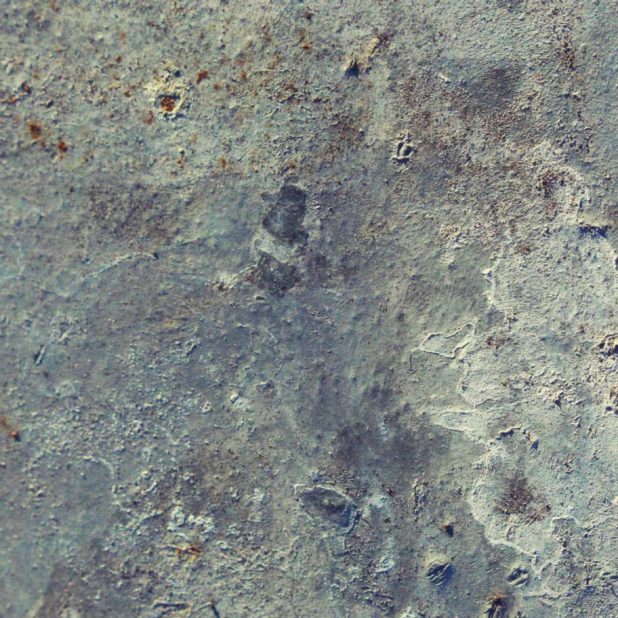 retak dinding beton iPhone8Plus Wallpaper