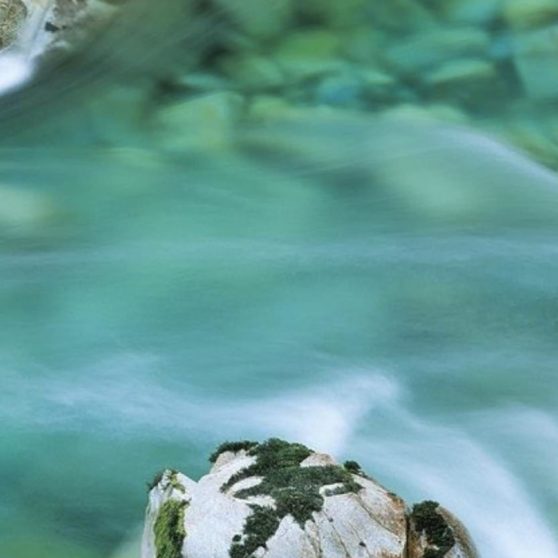 sungai alami iPhoneX Wallpaper