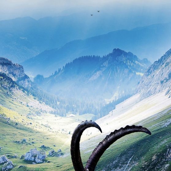 lanskap gunung berbatu iPhoneX Wallpaper