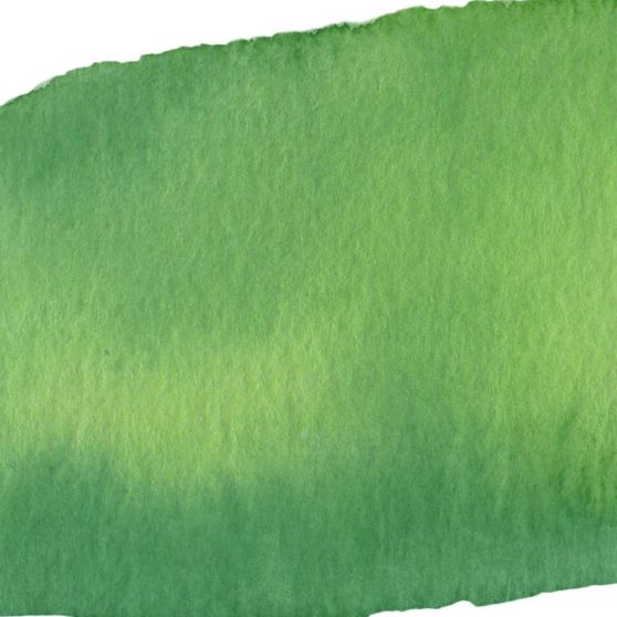 Pola kertas hijau putih iPhoneX Wallpaper