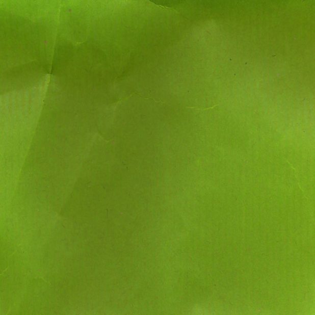Pola hijau kertas iPhoneXSMax Wallpaper