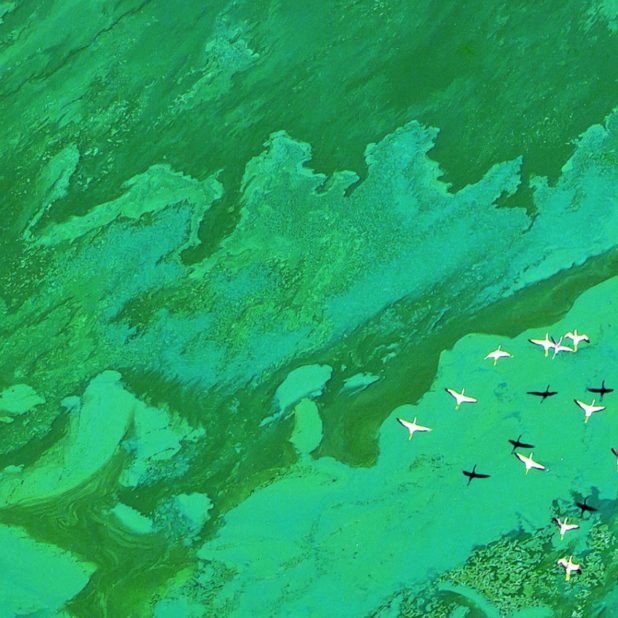 Lanskap pesawat laut iPhoneXSMax Wallpaper