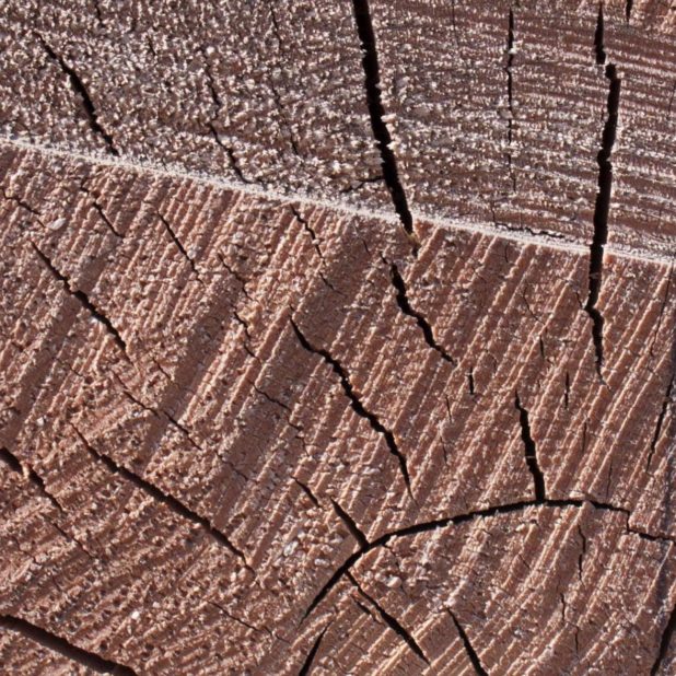 dinding kayu coklat iPhoneXSMax Wallpaper
