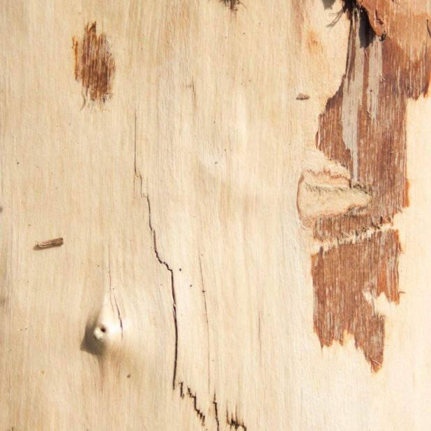 dinding kayu coklat iPhoneXSMax Wallpaper
