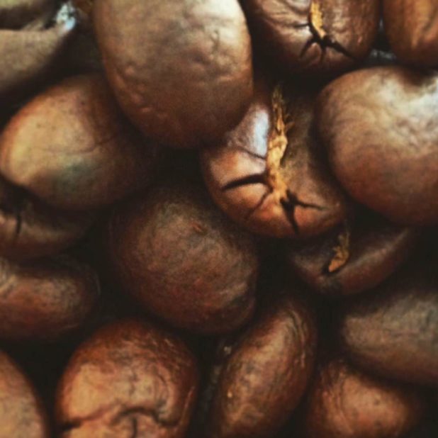 Makanan biji kopi coklat iPhoneXSMax Wallpaper