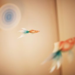 金魚魚ぼかしの iPad / Air / mini / Pro 壁紙