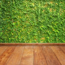 緑壁蔦床板の iPad / Air / mini / Pro 壁紙