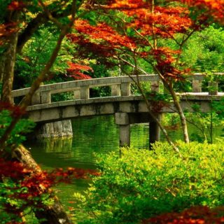 風景紅葉の iPhone4s 壁紙