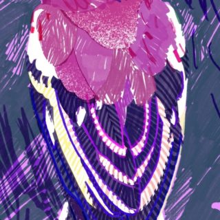 動物鳥絵紫の iPhone4s 壁紙