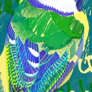 動物鳥絵緑の iPhone4s 壁紙