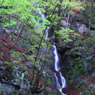 風景滝の iPhone4s 壁紙