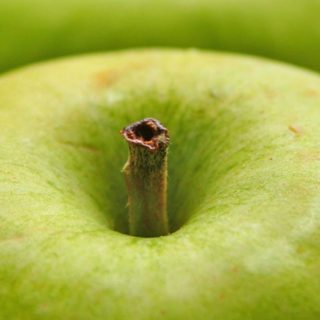 フードリンゴ緑の iPhone4s 壁紙