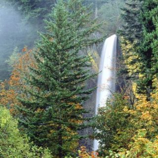 風景滝緑の iPhone4s 壁紙