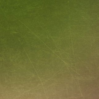 緑壁傷の iPhone4s 壁紙