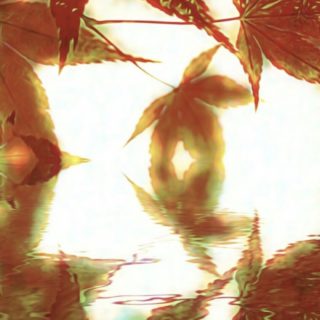 紅葉 水面の iPhone5s / iPhone5c / iPhone5 壁紙