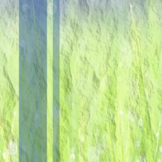 草むら 幻想的の iPhone5s / iPhone5c / iPhone5 壁紙
