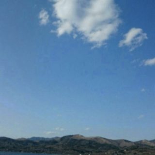 スワン 湖の iPhone5s / iPhone5c / iPhone5 壁紙
