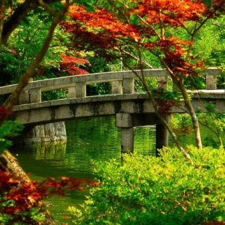 風景自然橋緑の iPhone5s / iPhone5c / iPhone5 壁紙