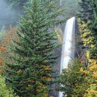 自然滝緑の iPhone5s / iPhone5c / iPhone5 壁紙