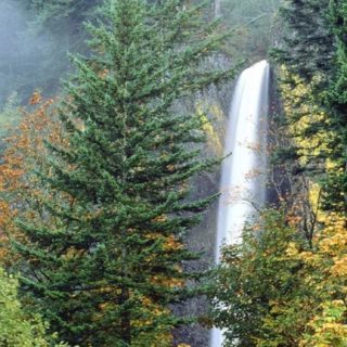 風景滝の iPhone5s / iPhone5c / iPhone5 壁紙
