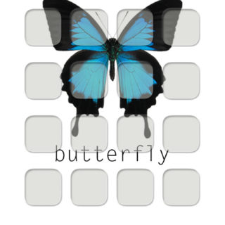 動物蝶棚の iPhone5s / iPhone5c / iPhone5 壁紙