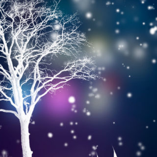 風景雪の iPhone5s / iPhone5c / iPhone5 壁紙