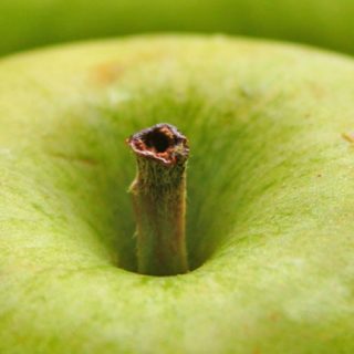 フードりんご緑の iPhone5s / iPhone5c / iPhone5 壁紙