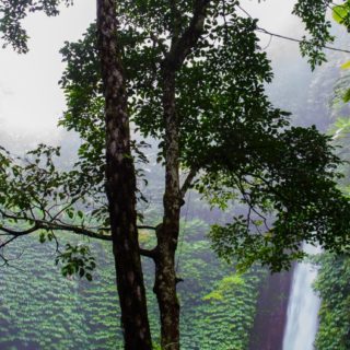 自然森林木滝の iPhone5s / iPhone5c / iPhone5 壁紙