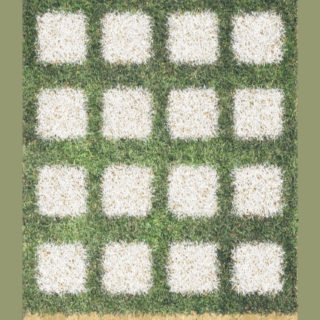 棚緑草の iPhone5s / iPhone5c / iPhone5 壁紙