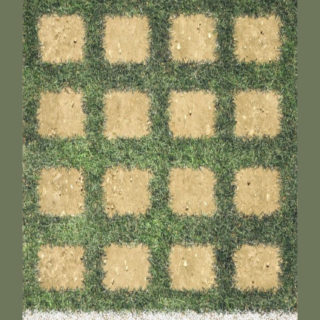 棚緑草の iPhone5s / iPhone5c / iPhone5 壁紙